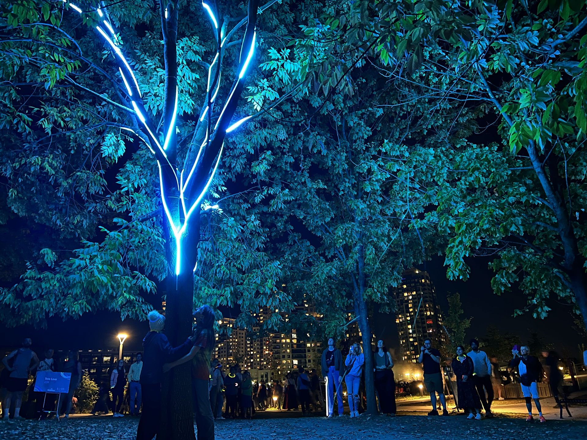 A visitor hugging the trunk of a leafy tree lit with white and blue light, city skyline behind.