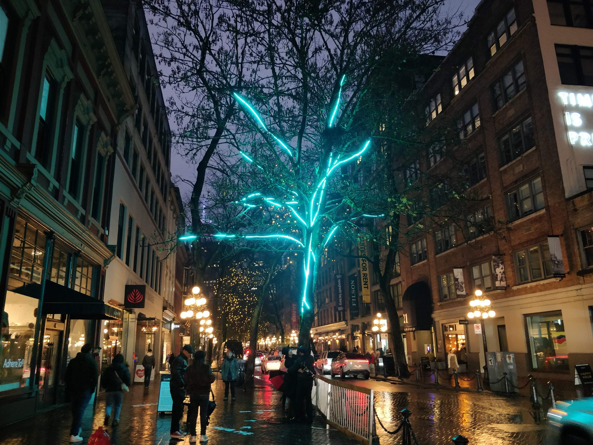 The installation on a rain-slicked city street at night, the tree lit turquoise between shopfronts.